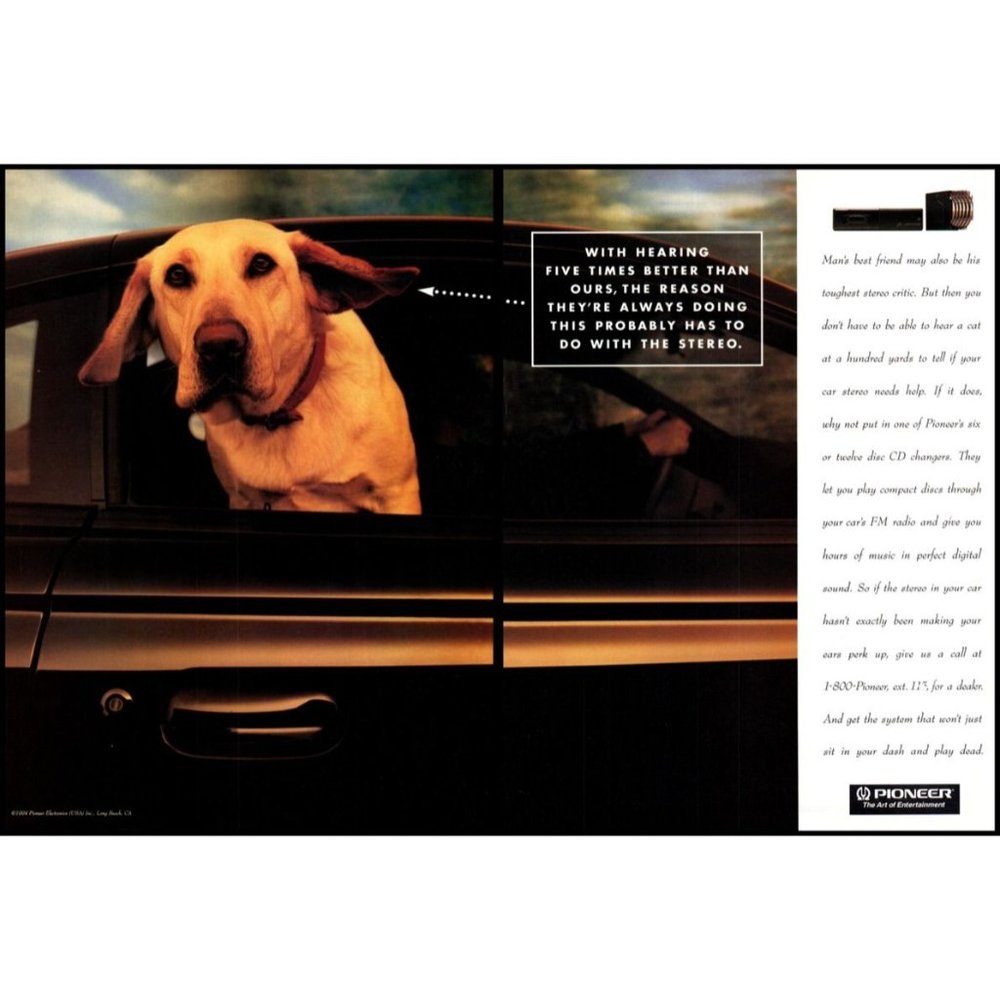 1994 Pioneer Car Stereo CD Changer 2 Page Vintage Print Ad Gold Retriever Dog